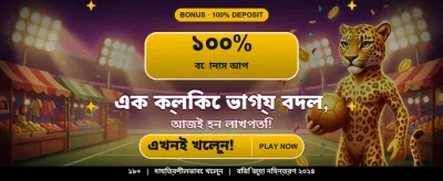 প্রিমিয়াম ক্যাসিনো গেম খেলুন